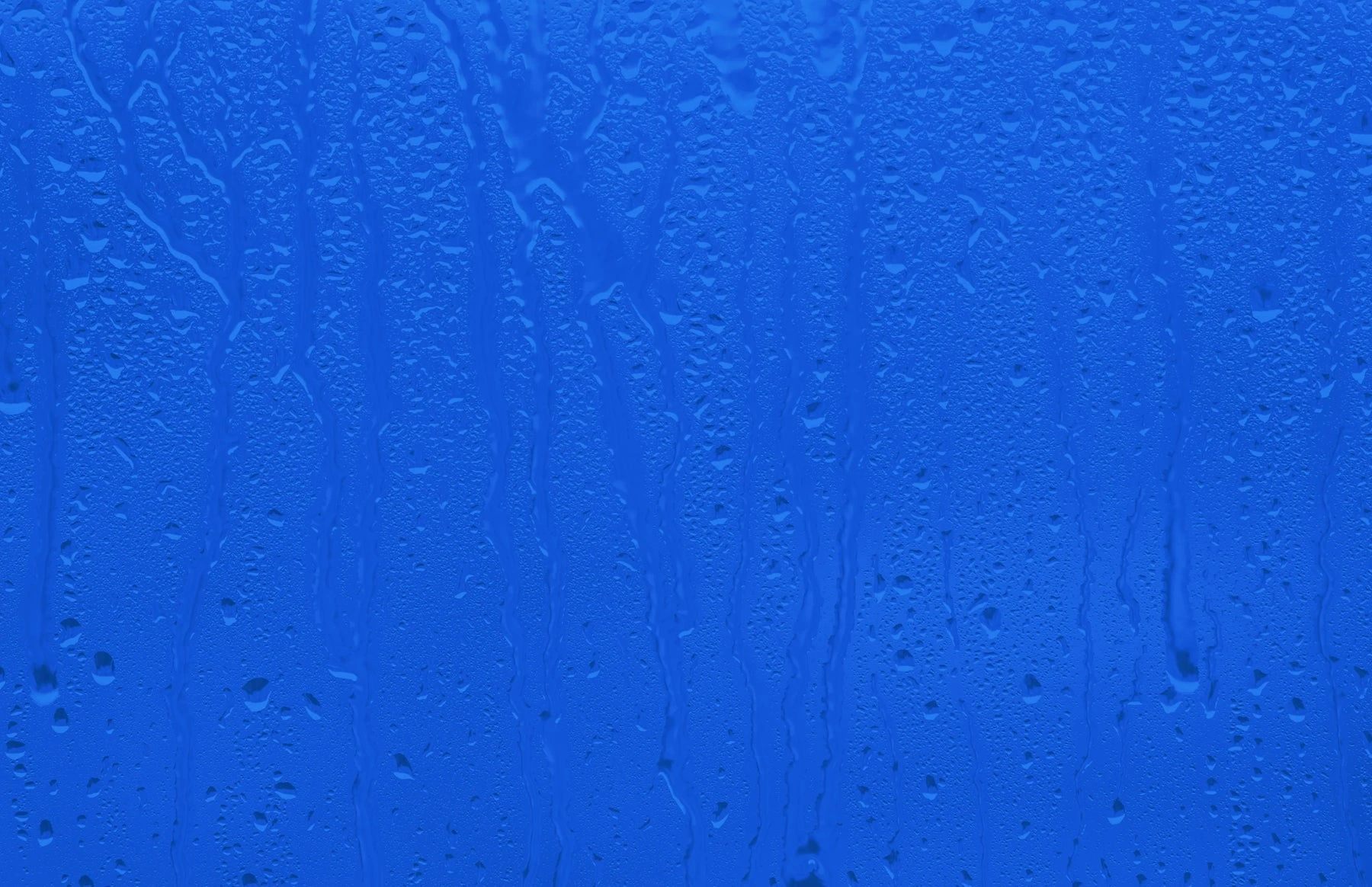 Puddle-Proof Style for Everyone